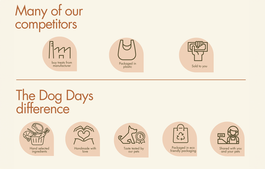 Why The Dog Days Treats Stand Out: Quality and Care in Every Bite