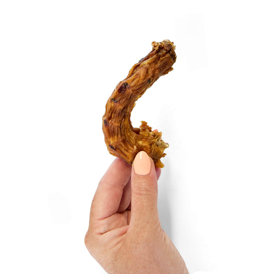 The Benefits of Chicken Necks for Dogs: Nature’s Perfect Toothbrush