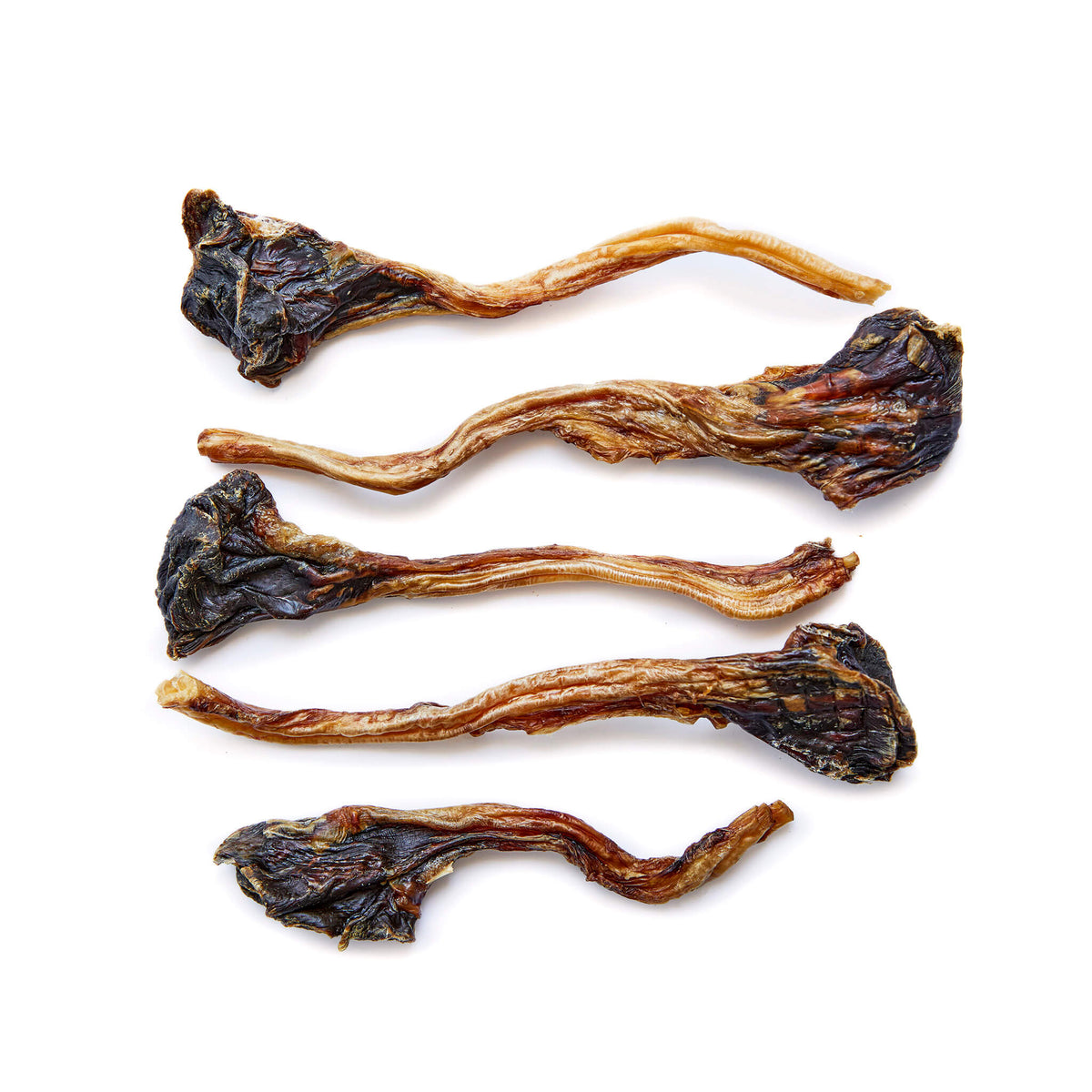 Kangaroo Tendon Chews