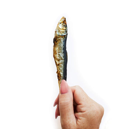 Fish - Sardines Whole