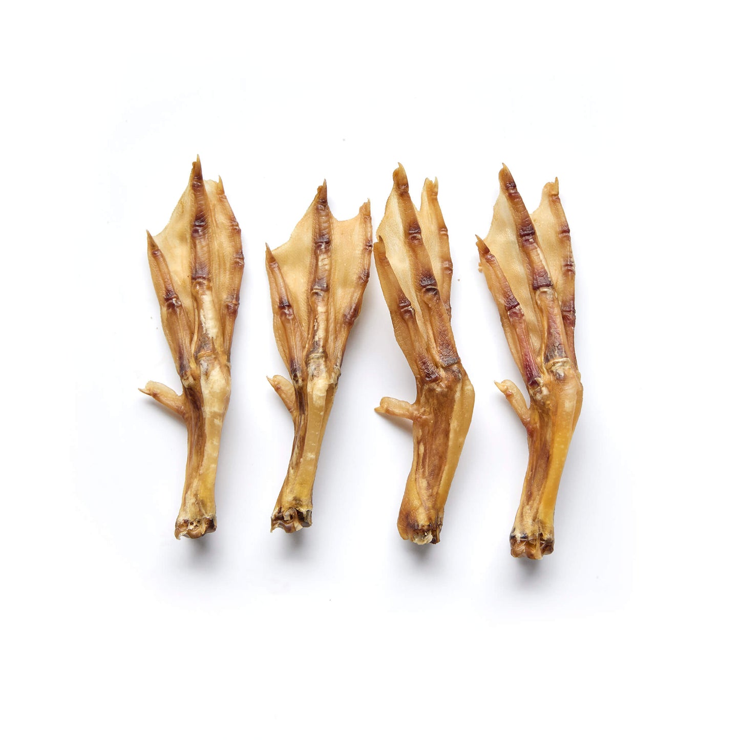 Duck Feet