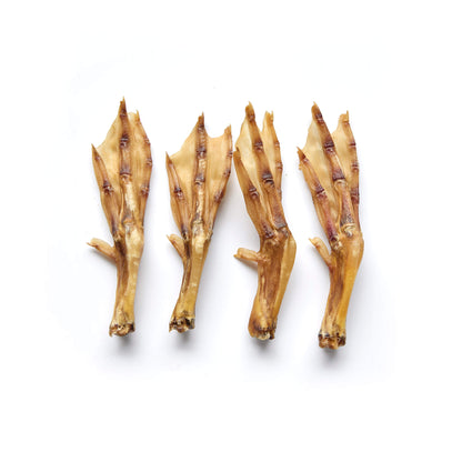 Duck Feet