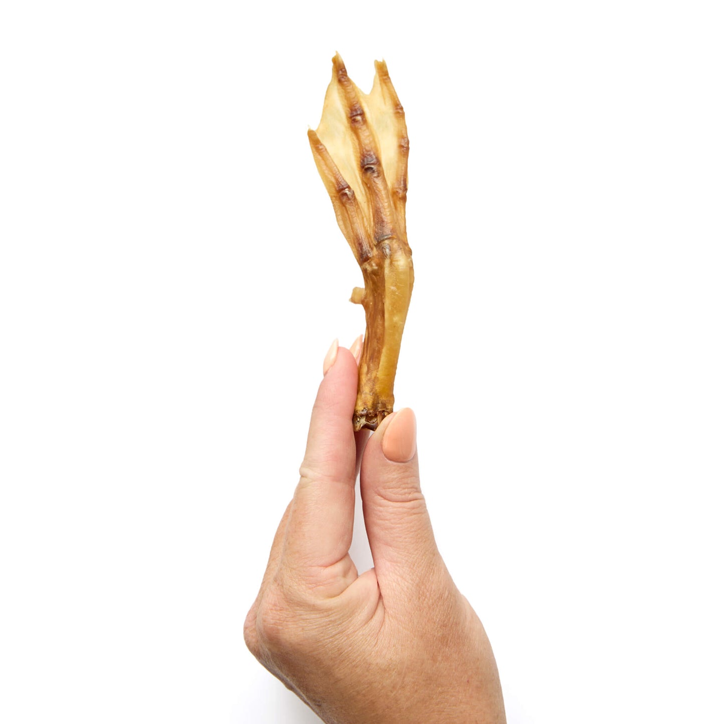 Duck Feet