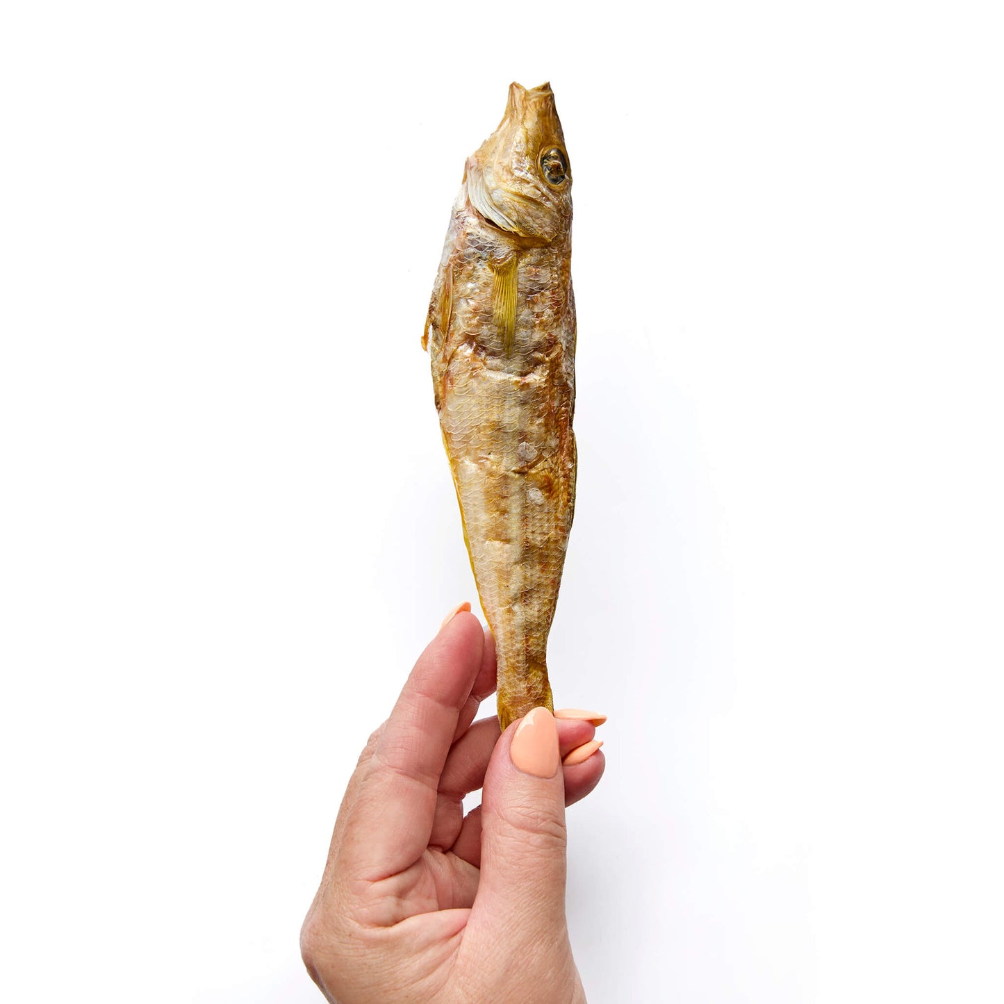 Fish - Whiting (headless)