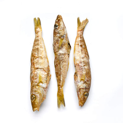 Fish - Whiting (headless)
